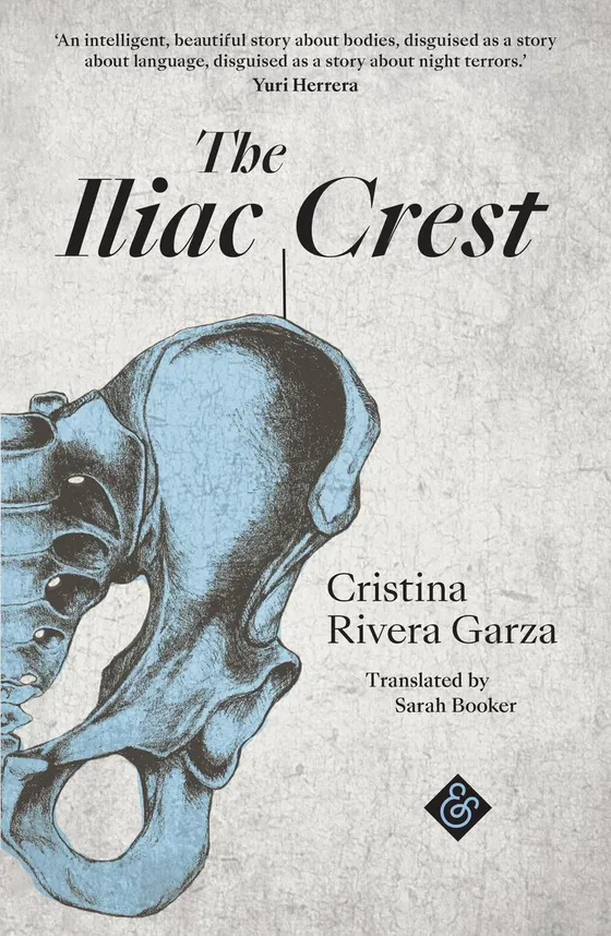 Book cover for The Iliac Crest by Cristina Rivera Garza, translated by Sarah Booker. A blue anatomical drawing of a pelvis on a grey ground.