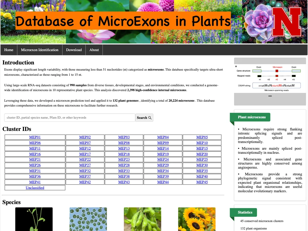 MEPDB home page with the microexon search box and the list of conserved cluster IDs.